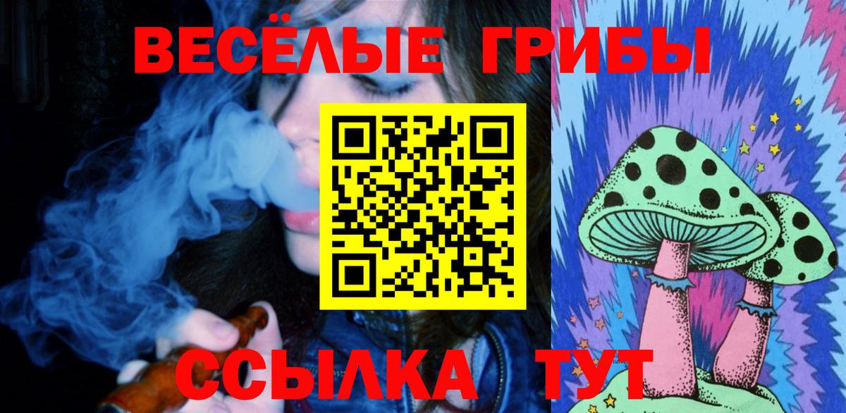Галлюциногенные грибы мицелий  Вход с VPN  Спасск-Дальний 
